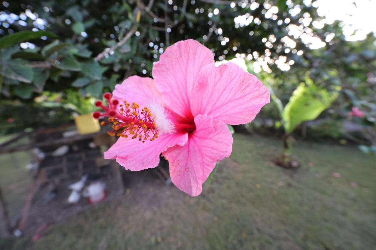 Homebase Gardens นาคูรู ภายนอก รูปภาพ