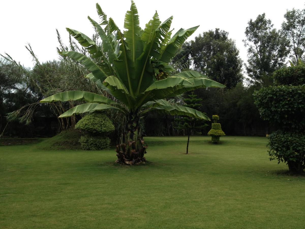 Homebase Gardens นาคูรู ภายนอก รูปภาพ